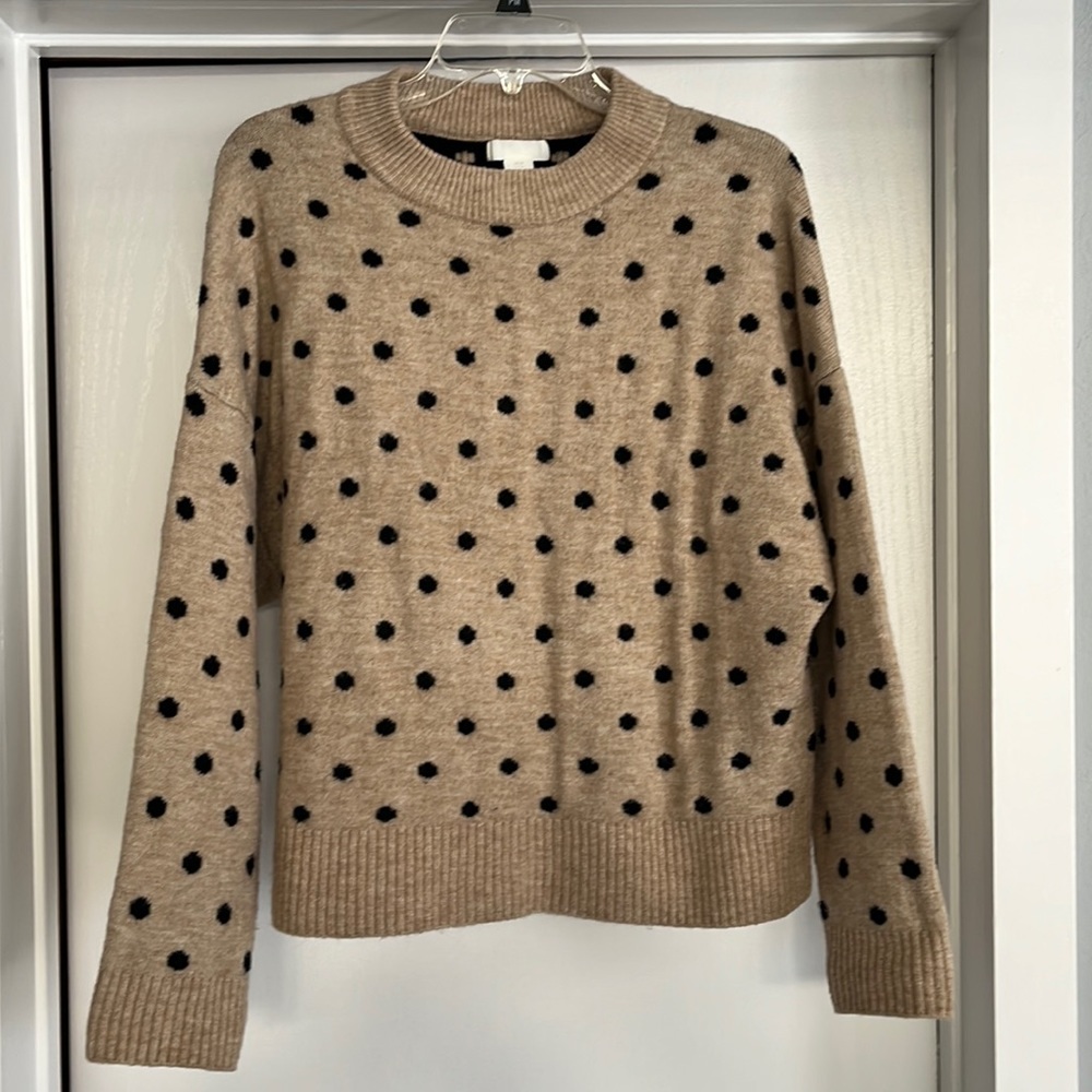 H&M Women’s Polka Dot Crew Neck Sweater